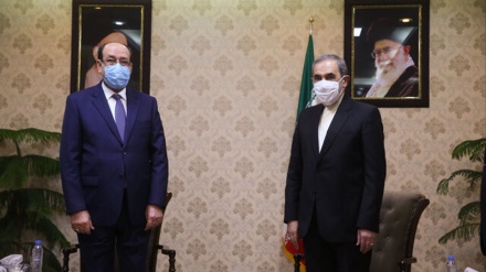 تأكيد إيراني عراقي على ضرورة تنمية العلاقات الثنائية
