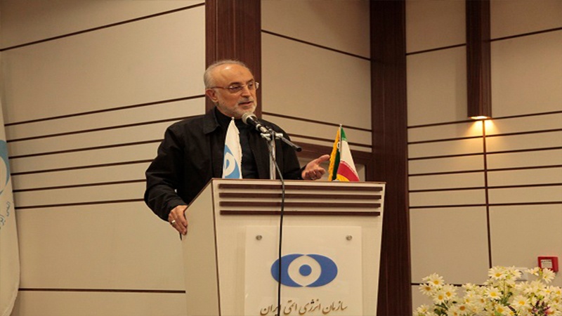 Iranpress: صالحي: إيران متقيدة بالتزاماتها تجاه الوكالة الدولية للطاقة النووية