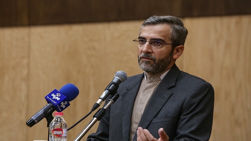 Iranpress: الدول الغربية هي أكبر منتهك لحقوق الشعب الإيراني