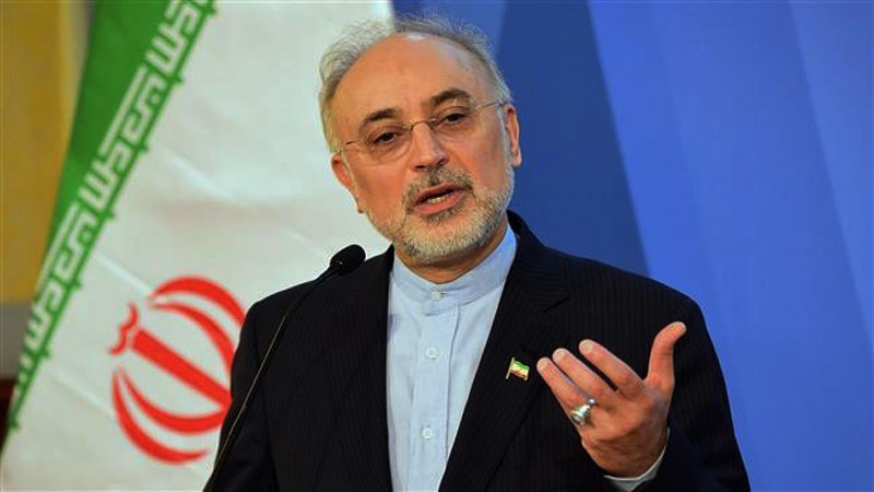 Iranpress: إيران حصلت على تقنية تطوير النظائر المستقرة في المجال النووي