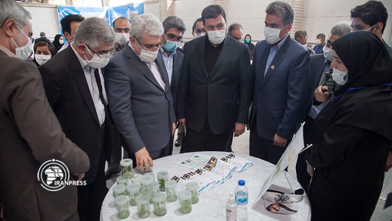 Iranpress: نائب الرئيس الإيراني: توطين المنتجات بالاعتماد على الشركات المعرفية