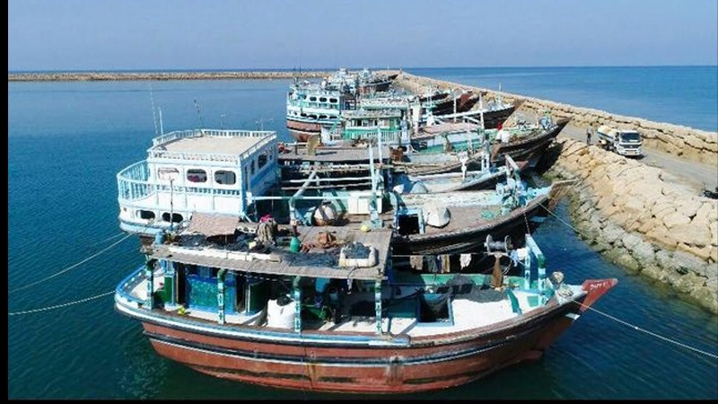 Iranpress: تصدير 550 طن سلع غير نفطية من ميناء سيريك الإيراني إلى عمان