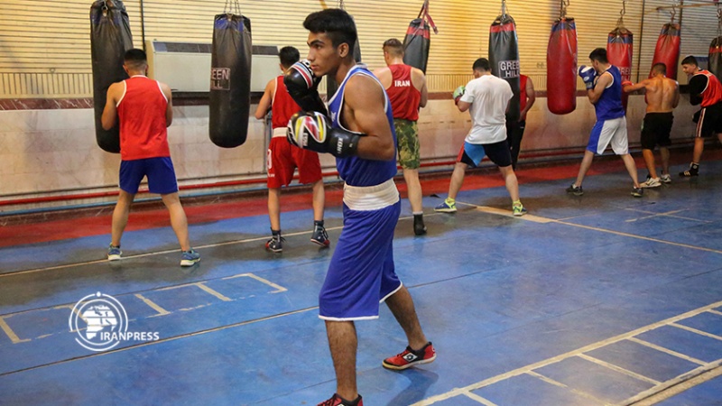 Iranpress: معسكر تدريبي للمنتخب الوطني لـ الملاكمة استعدادًا للمباريات العالمية