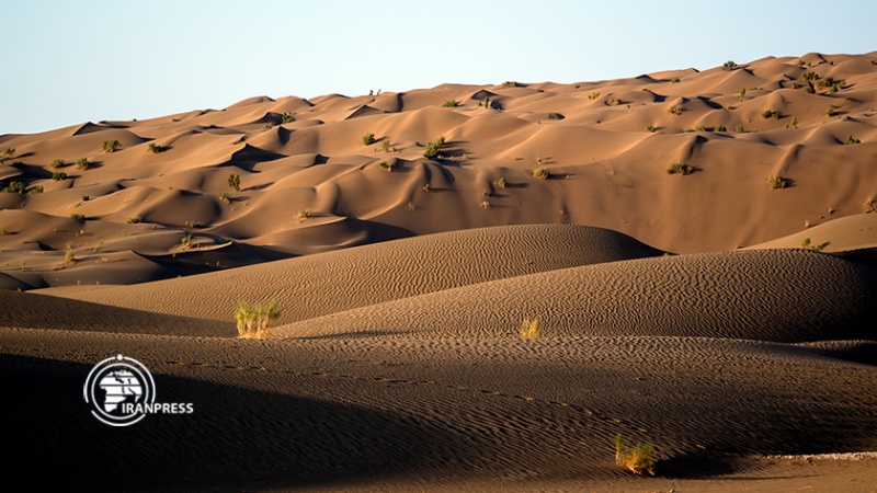 Iranpress: صحراء ‘لوط’ تعتبر تراثًا طبيعيًا مدهشًا ذات سمعة عالمية