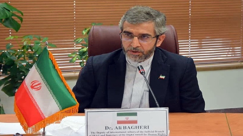 Iranpress: إيران تنتقد السياسات الغربية المزدوجة بشأن حقوق الإنسان
