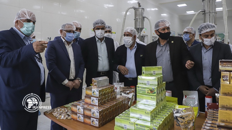 Iranpress: تدشين مصنع فارابي لإنتاج السكر في أهواز 
