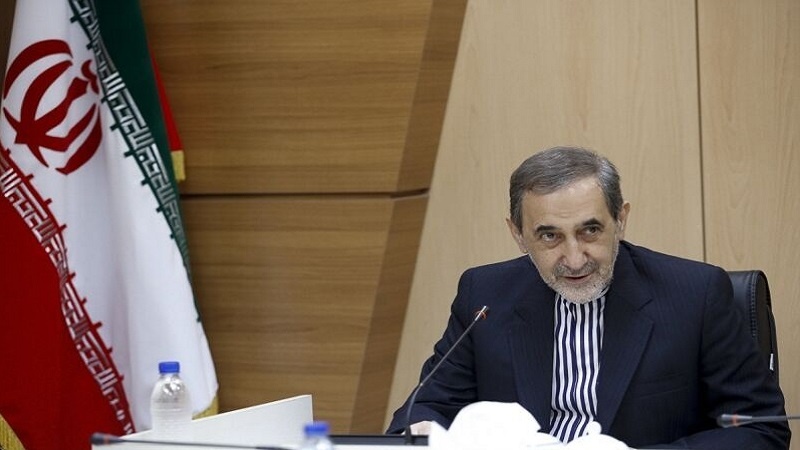 Iranpress: إيران والعراق يؤكدان على ضرورة تعزيز التعاون العلمي والتعليمي