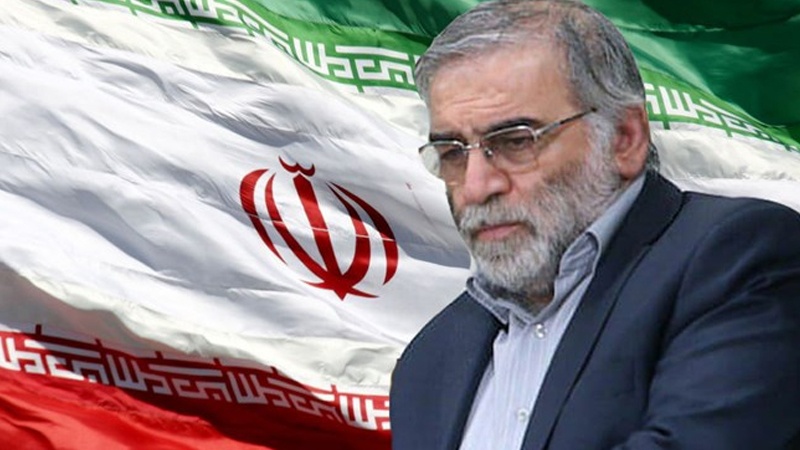 Iranpress: اغتيال عالم نووي إيراني جاءت نتيجة لمؤامرة أمريكية إقليمية