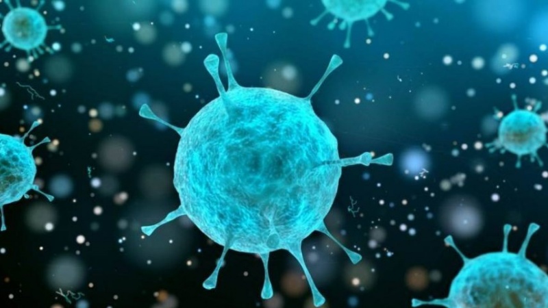 Iranpress: الصين تقدم أدلة جديدة عن أصل فيروس كورونا