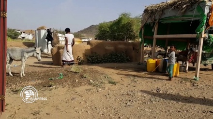 السعودية تمنع اللاجئين اليمنيين من العودة إلى منطقتهم