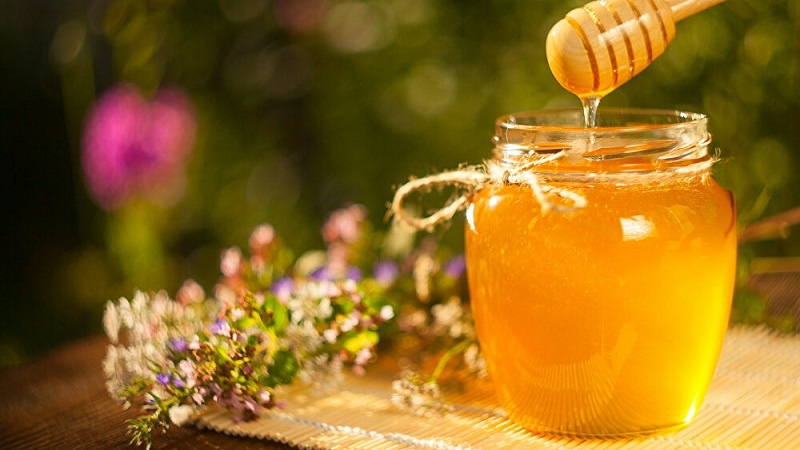 Iranpress: أربع فوائد صحية مثبتة علميًا للعسل