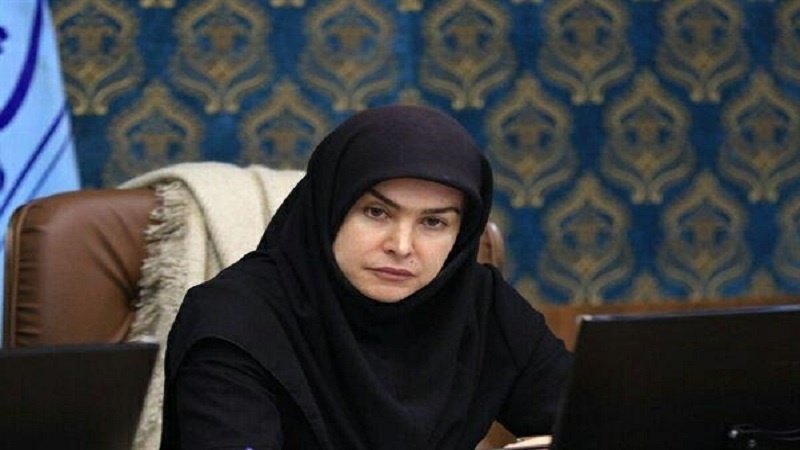 Iranpress: تعيين سيدة إيرانية نائبةً لرئيس مكتب غرب آسيا في مجلس الحرف العالمي