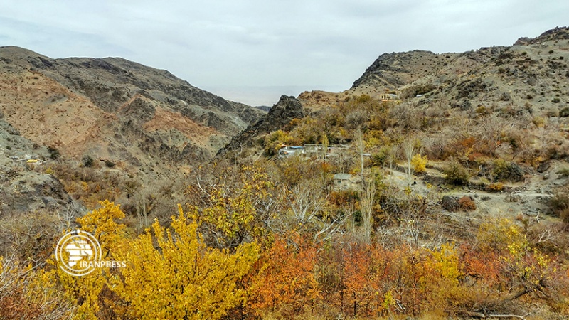 Iranpress: قرية دزك السياحية في قلب جبال باقران
