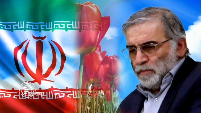Iranpress: اغتيال العالم النووي الإيراني جريمة سافرة من قبل إرهاب الدولة