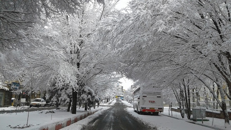 Iranpress: الثلوج البيضاء تكسو محافظة آذربايجان الشرقية