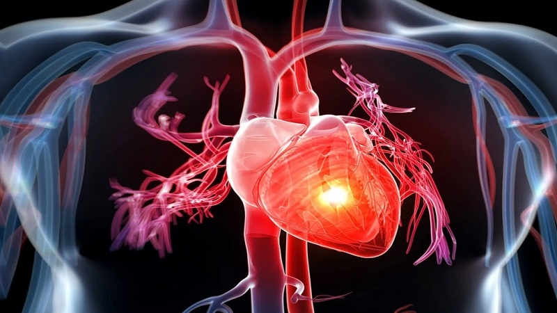 Iranpress:   باحثون يحذرون من أطعمة محددة تزيد من خطر الإصابة بقصور القلب بأكثر من 50 بالمائة