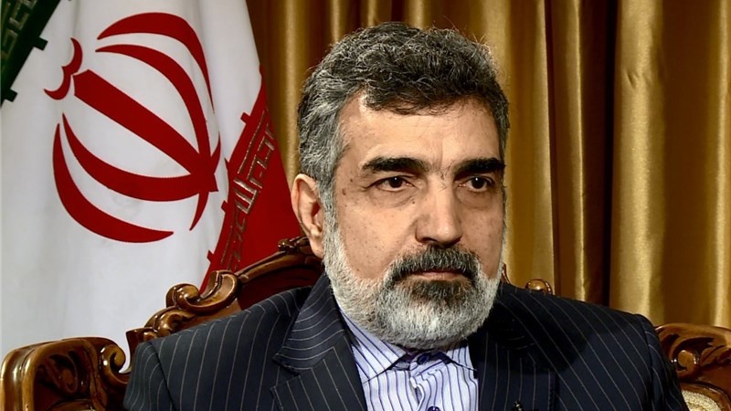 Iranpress: إيران والطاقة الذرية تجتمعان في إطار التعاون التقني