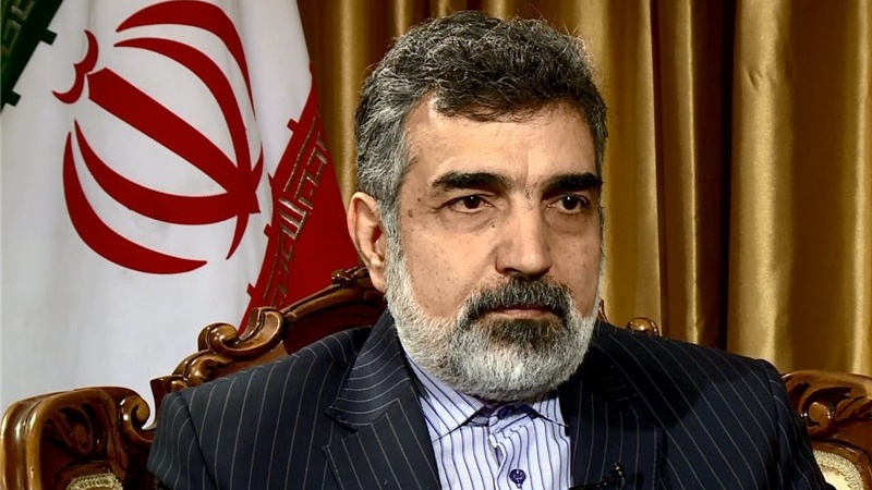 Iranpress: كمالوندي: القضية المهمة بالنسبة لإيران هي إلغاء الحظر