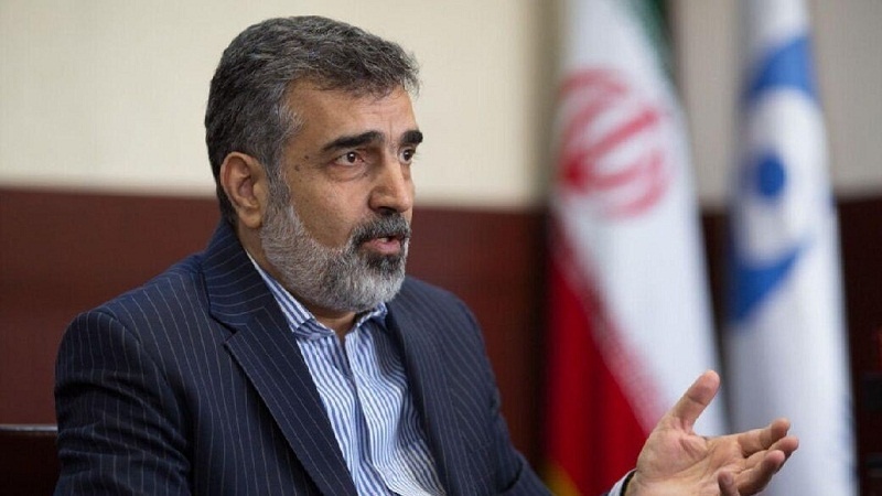 Iranpress:  كمالوندي يشرح محاور مباحثات غروسي في طهران