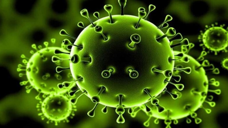 Iranpress: الكشف عن أعراض جديدة لفيروس كورونا