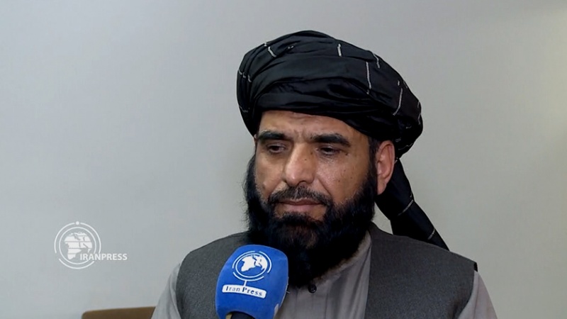 Iranpress: المتحدث باسم طالبان: إيران تلعب دورا إيجابيا في محادثات السلام الأفغانية 