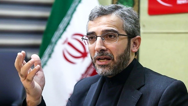 Iranpress: مسؤول إيراني ينتقد بشدة تقاعس الدول الإسلامية عن غزة
