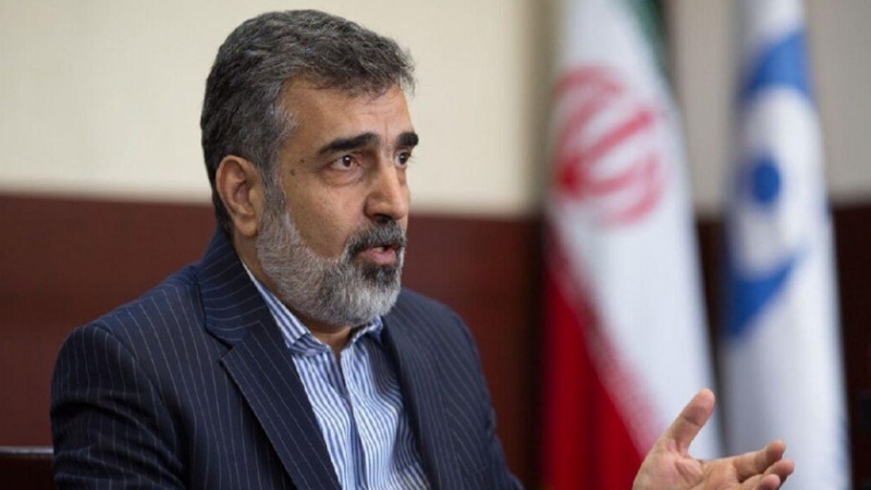 کمالوندی: مساله مهم برای ایران لغو تحریم است