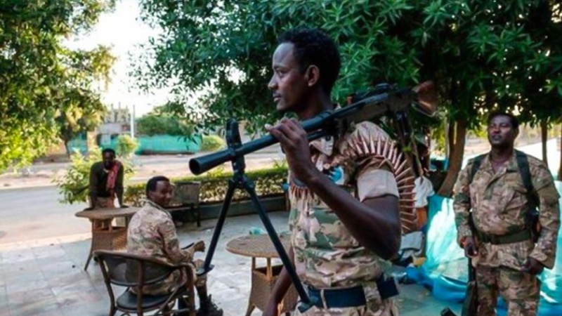 Iranpress: مقتل أكثر من 200 شخص في نزاعات عرقية في إثيوبيا 