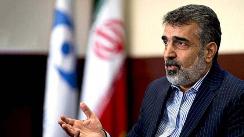 Iranpress: تعرض المتحدث باسم الطاقة الذرية الإيرانية لحادث في محطة نطنز النووية