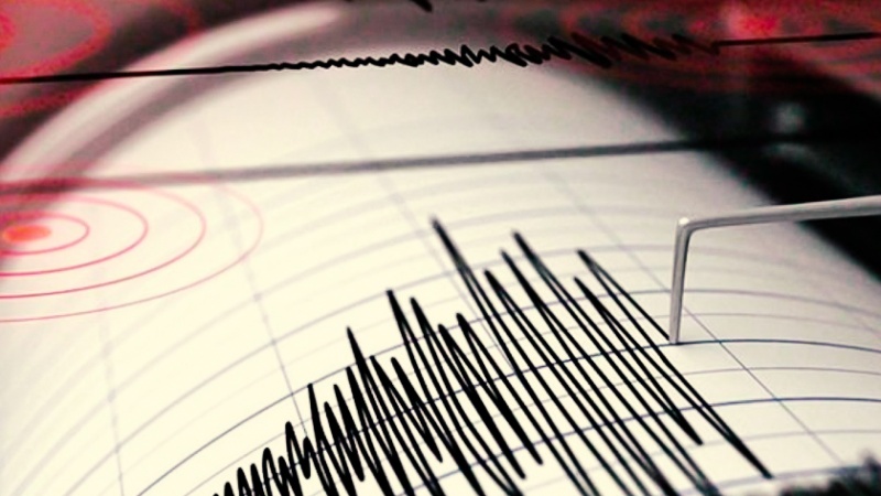 Iranpress: زلزال قوي يهز جنوب إيران