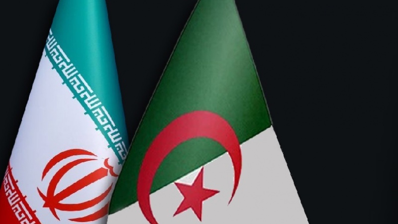 Iranpress: إيران والجزائر تؤكدان على تعزيز التعاون الثنائي