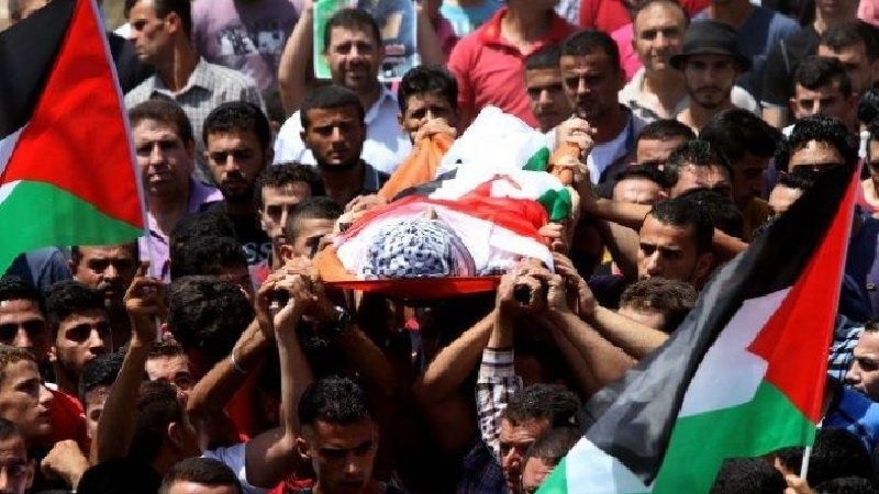 Iranpress: 35 شهيدا بينهم 12 طفلا نتيجة العدوان الصهيوني على غزة