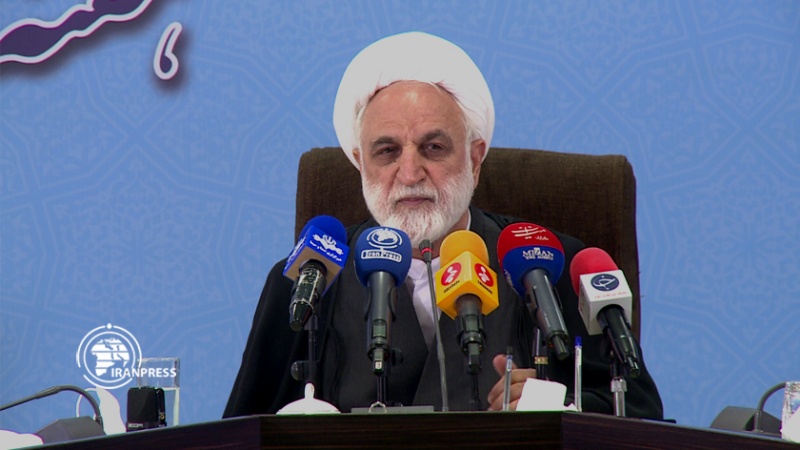 Iranpress: مؤتمر صحفي للنائب الأول لرئيس السلطة القضائية في إيران