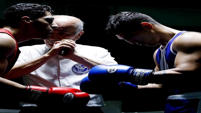 Iranpress: إيراني يحكّم التصفيات الأوروبية لـ الملاكمة المؤهلة إلى الأولمبياد