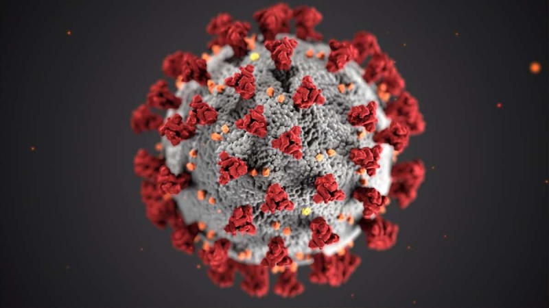 Iranpress: بدء الموجة الخامسة من فيروس كورونا في إيران