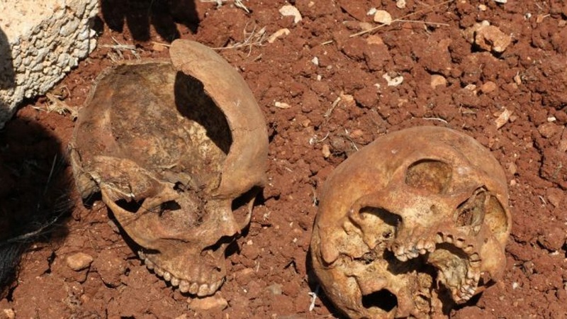 Iranpress: العثور على 76 جمجمة في مقابر جماعية بولاية وسط دارفور
