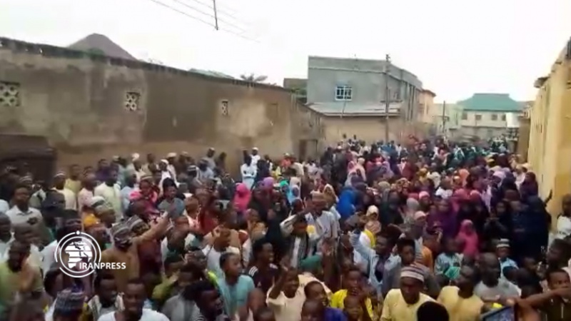 Iranpress: الشعب النيجيري يحتفل بالإفراج عن الشيخ إبراهيم زكزاكي
