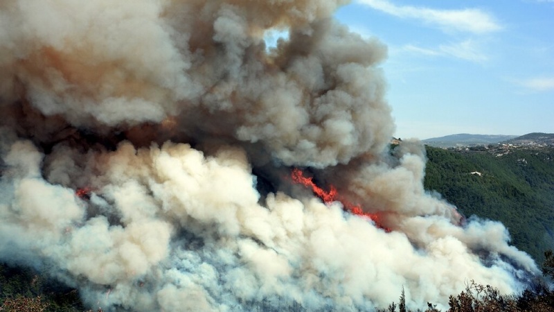 Iranpress: إيران تعلن عن استعدادها لمساعدة تركيا في إطفاء الحرائق الواسعة