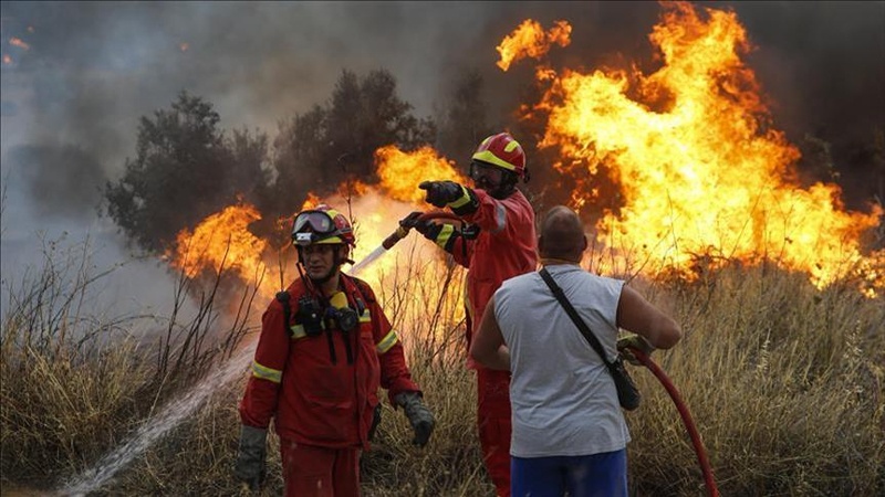 Iranpress: حريق غابات بالقرب من أثينا