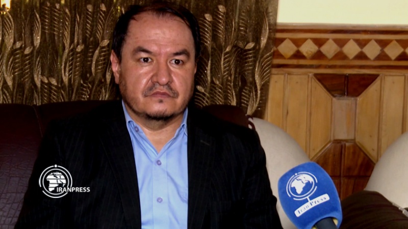 Iranpress: عضو البرلمان الأفغاني: طالبان لا تعتقد بالسلام