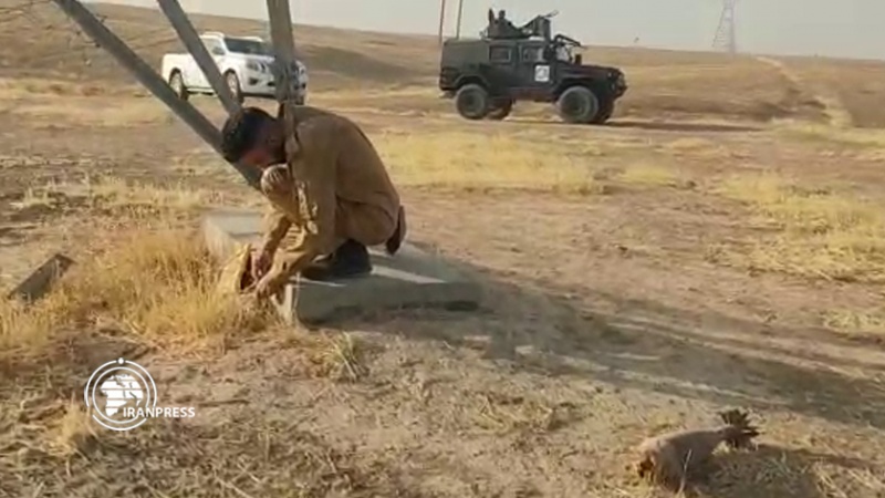 Iranpress: تنظيم داعش يستهدف محطات وأبراج نقل الطاقة في العراق