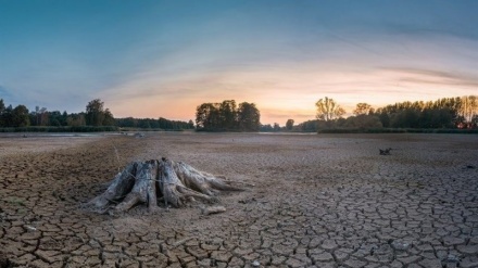 خشکسالی در بریتانیا؛ خشک‌ترین ماه در 186 سال گذشته به ثبت رسید
