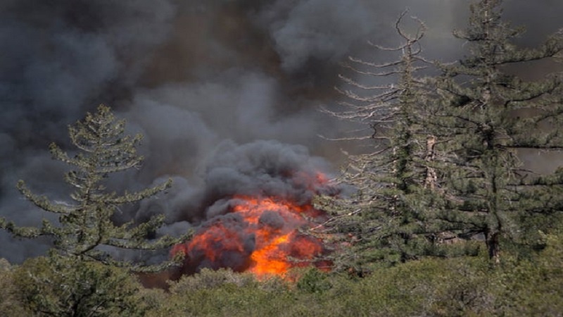 Iranpress: موجة الحر القياسية تتسبب بحرائق غابات شاسعة في أميركا وكندا
