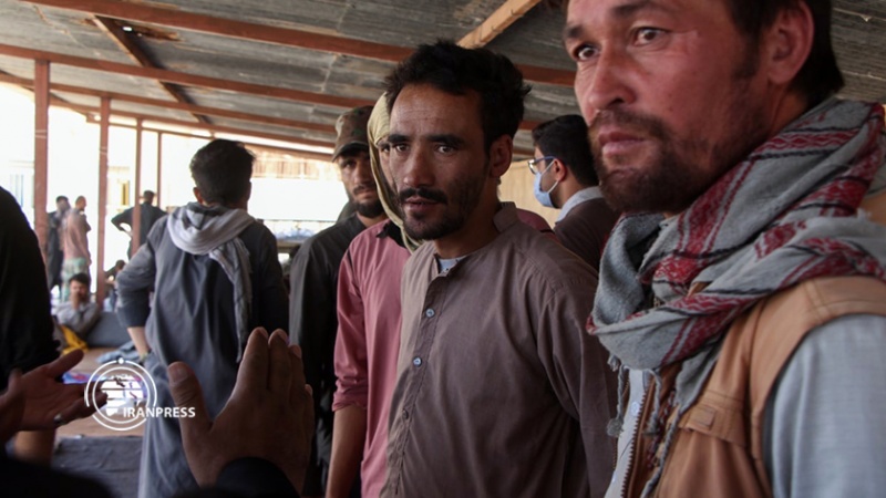Iranpress: اللاجئون الأفغان يعودون إلى بلادهم من معبر كمشاد الحدودي في إيران