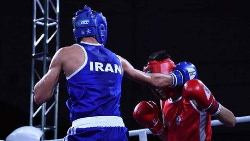 Iranpress: فتى إيراني يحصل على ميدالية ذهبية في البطولة الاسيوية للناشئين للملاكمة 
