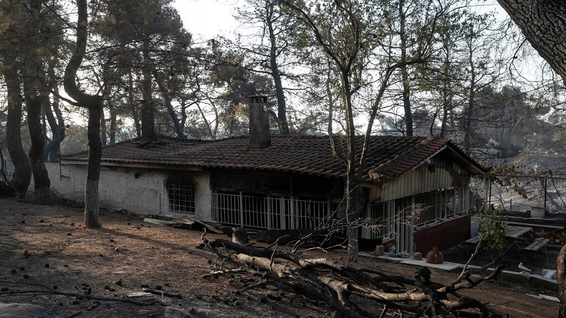 Iranpress: حرائق الغابات في تركيا.. ارتفاع عدد قتلى إلى 8