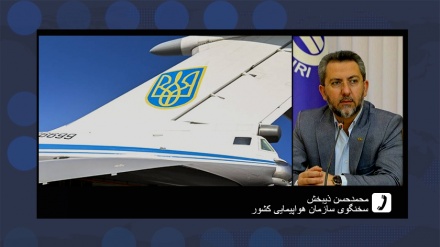 ورود هواپیمای ربوده شده به ایران تکذیب شد