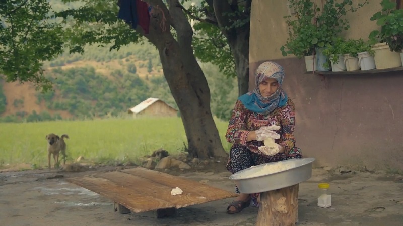 Iranpress: السينما الإيرانية تفوز بجائزتين في مهرجان شجرة المشمش بأرمينيا