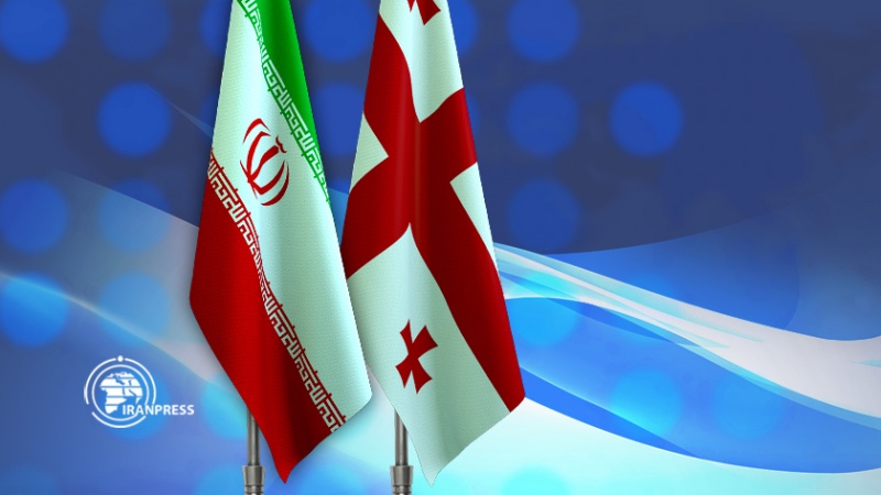 Iranpress: جورجيا تعلن عن استعدادها لتطوير العلاقات مع إيران