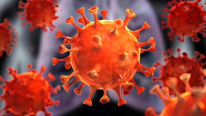 Iranpress: فيروس كورونا.. أكثر من 209 ملايين إصابة و4.3 مليون حالة وفاة حول العالم